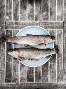 One Health fish quality, welfare and nutrition